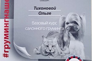 Диплом / сертификат №2 — Тихонова Ольга Леонидовна