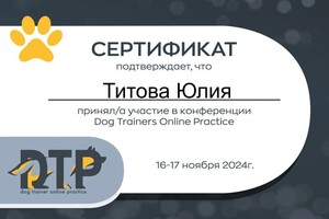 Диплом / сертификат №2 — Титова Юлия Андреевна