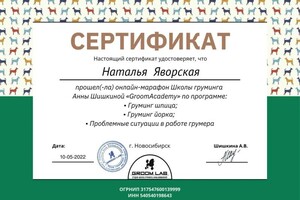 Диплом / сертификат №8 — Яворская Наталья Алексеевна