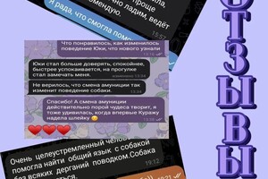 Диплом / сертификат №4 — Зернова Екатерина Дмитриевна