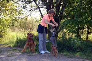 занятия - это весело — Жогина Анна Николаевна