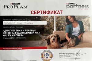 Диплом / сертификат №1 — Кравченко Юлия Юрьевна