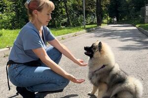 Дрессировка щенка — Козлова Галина Александровна