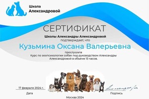 Диплом / сертификат №1 — Кузьмина Оксана Валерьевна