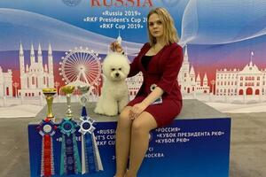 Я-хендлер и Юный Чемпион выставки Россия 2019 — Багаева Анастасия Юрьевна