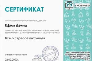 Диплом / сертификат №1 — Дёниц Ефим Алексеевич