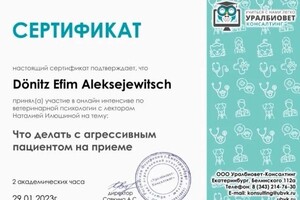 Диплом / сертификат №2 — Дёниц Ефим Алексеевич