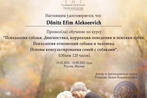 Диплом / сертификат №3 — Дёниц Ефим Алексеевич