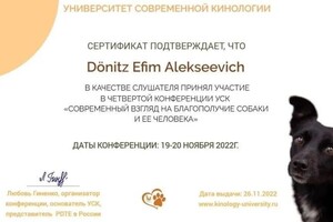 Диплом / сертификат №4 — Дёниц Ефим Алексеевич