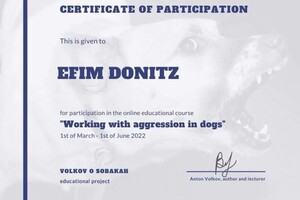 Диплом / сертификат №5 — Дёниц Ефим Алексеевич