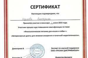 Диплом / сертификат №1 — Groomcat_ufa