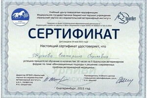 Диплом / сертификат №2 — Groomcat_ufa