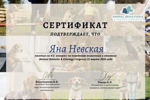 Диплом / сертификат №15 — Невская Яна Павловна