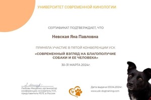 Диплом / сертификат №2 — Невская Яна Павловна