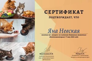 Диплом / сертификат №3 — Невская Яна Павловна
