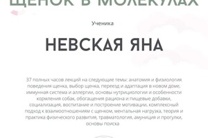 Диплом / сертификат №4 — Невская Яна Павловна