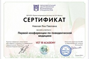 Диплом / сертификат №5 — Невская Яна Павловна