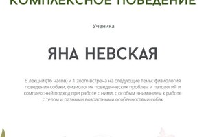 Диплом / сертификат №6 — Невская Яна Павловна