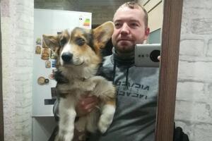 Дрессировка корги — Саламатин Алексей Игоревич
