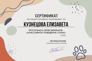 Диплом / сертификат №2 — Канакина Елизавета Алексеевна