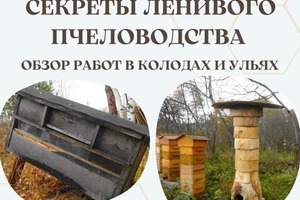 Диплом / сертификат №1 — Якимов Андрей Васильевич