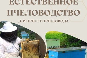 Диплом / сертификат №2 — Якимов Андрей Васильевич