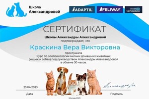 Диплом / сертификат №4 — Краскина Вера Викторовна