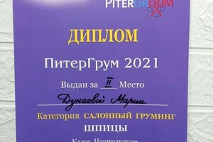 Диплом / сертификат №33 — Дунаева Мария Константиновна