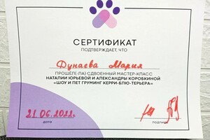 Диплом / сертификат №34 — Дунаева Мария Константиновна